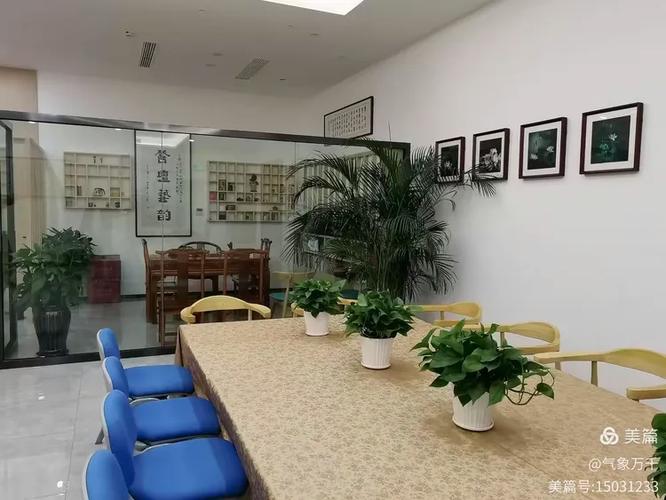 温州市青少年心理健康咨询服务志愿者培训班